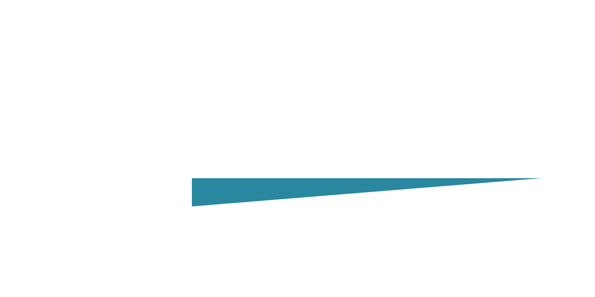 IPVISION